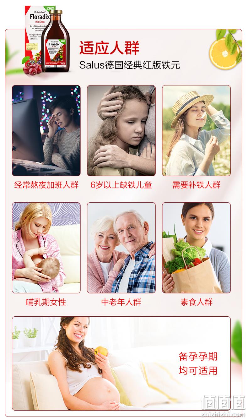 德国原装 莎露斯 Salus floradix红铁元 500mlx2瓶 儿童孕妇女补铁补气血 券后218元包邮 值值值-买手聚集的地方