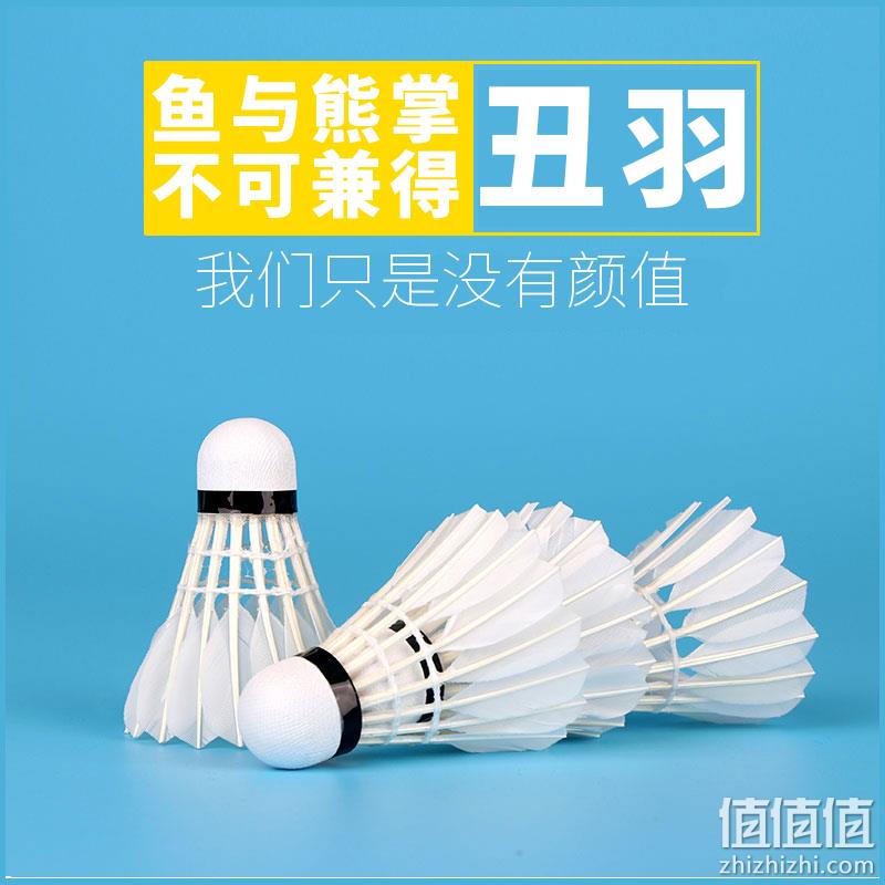K8场馆专用，足重不易烂：12只装 狂神 鹅毛羽毛球 23.9元包邮 值值值-买手聚集的地方