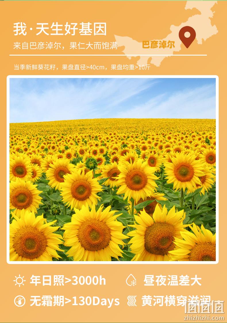 葵先生 山核桃/焦糖 内蒙古大颗粒瓜子2斤装 16.9元包邮 值值值-买手聚集的地方