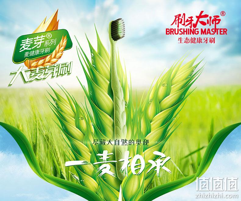 国家实用新型专利，6支 刷牙大师 麦纤维竹炭牙刷 券后9.9元包邮 值值值-买手聚集的地方