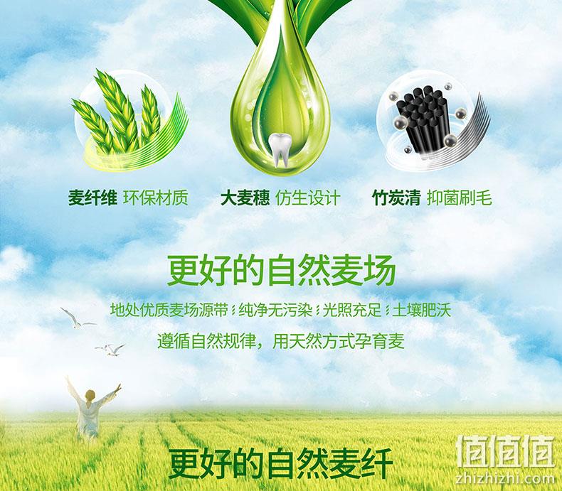 国家实用新型专利，6支 刷牙大师 麦纤维竹炭牙刷 券后9.9元包邮 值值值-买手聚集的地方