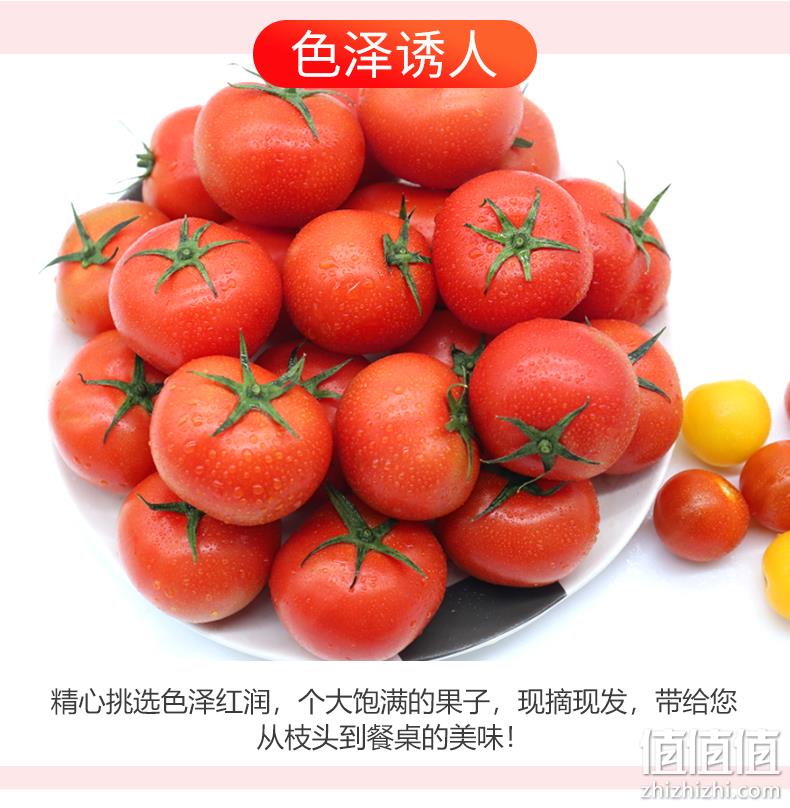 物理防虫,无激素不打药:5斤 绿行者 透心红番茄 19.9元包邮顺丰 值值值-买手聚集的地方