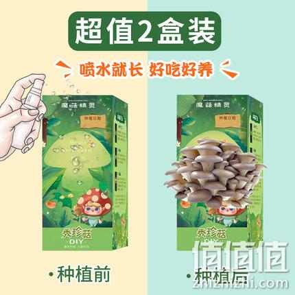 暑假一起种蘑菇!2盒 魔菇精灵 秀珍菇亲子DIY蘑菇种植魔盒 29.9元包邮 值值值-买手聚集的地方