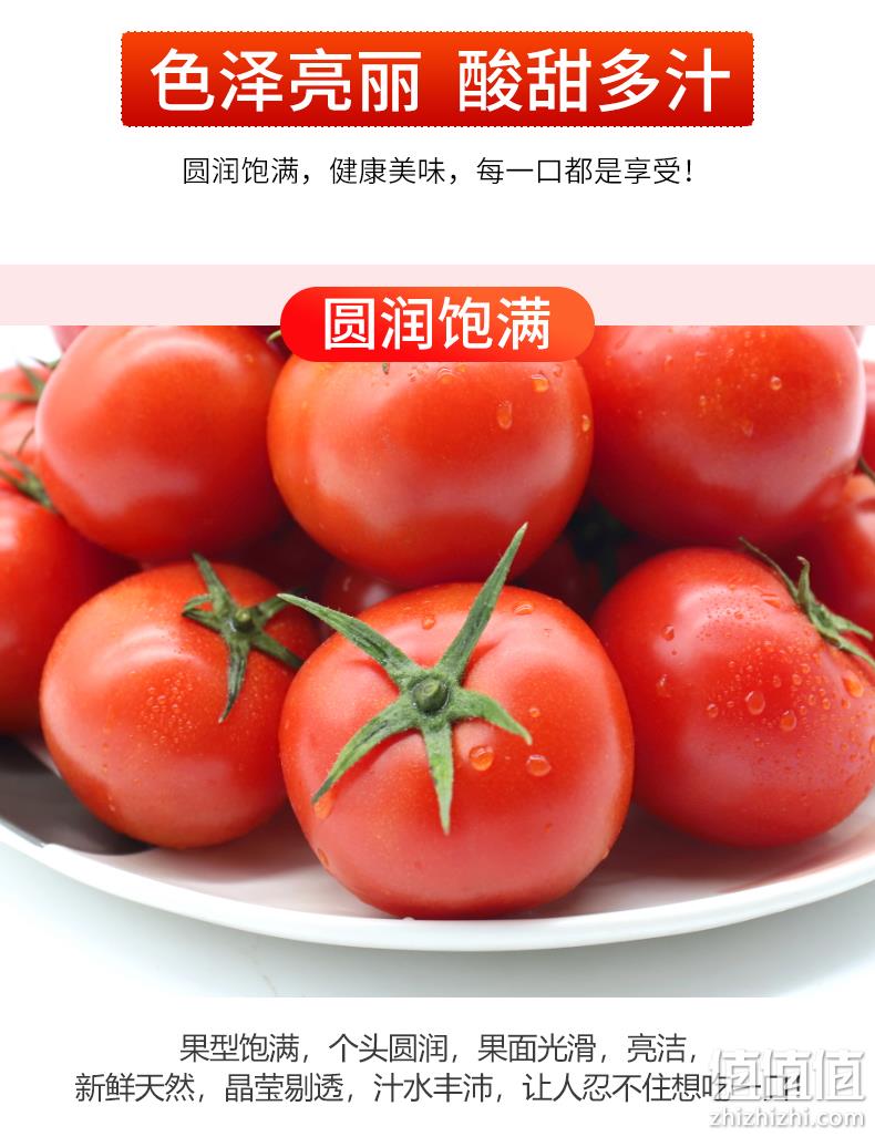 物理防虫,无激素不打药:5斤 绿行者 透心红番茄 19.9元包邮顺丰 值值值-买手聚集的地方