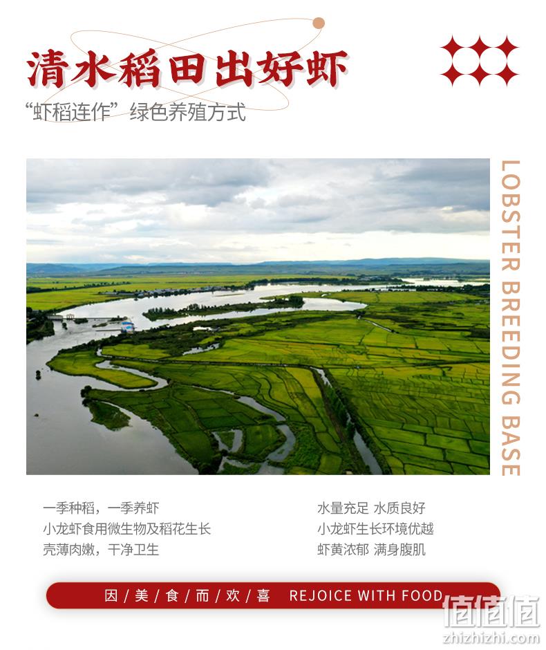 罗永浩直播爆卖2千万，4.9分高好评：250gx7盒 信良记 即食麻辣小龙虾尾 99.5元包邮顺丰冷链 值值值-买手聚集的地方
