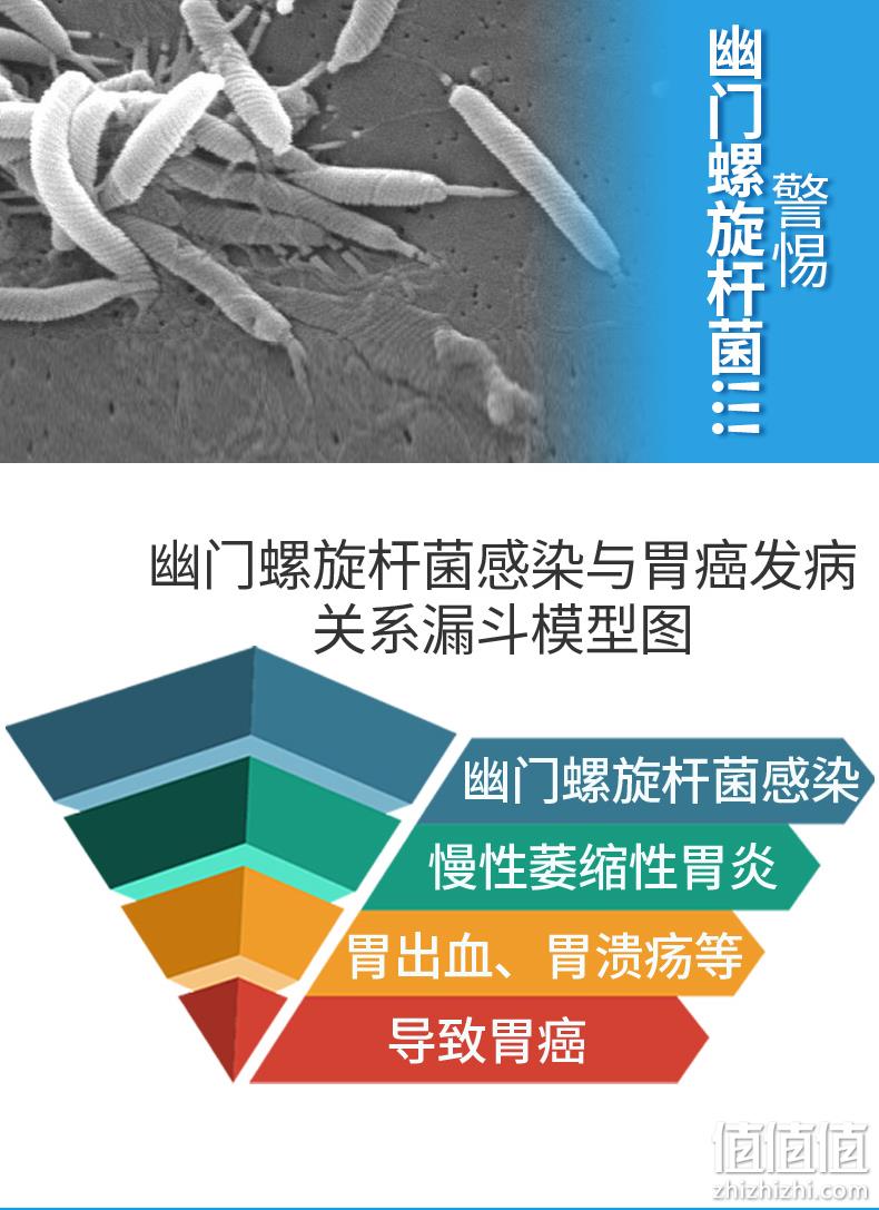 医院同款，肠胃问题早预防：安旭科 幽门螺旋杆菌检测试纸 1人份 券后10.9元起包邮顺丰 值值值-买手聚集的地方