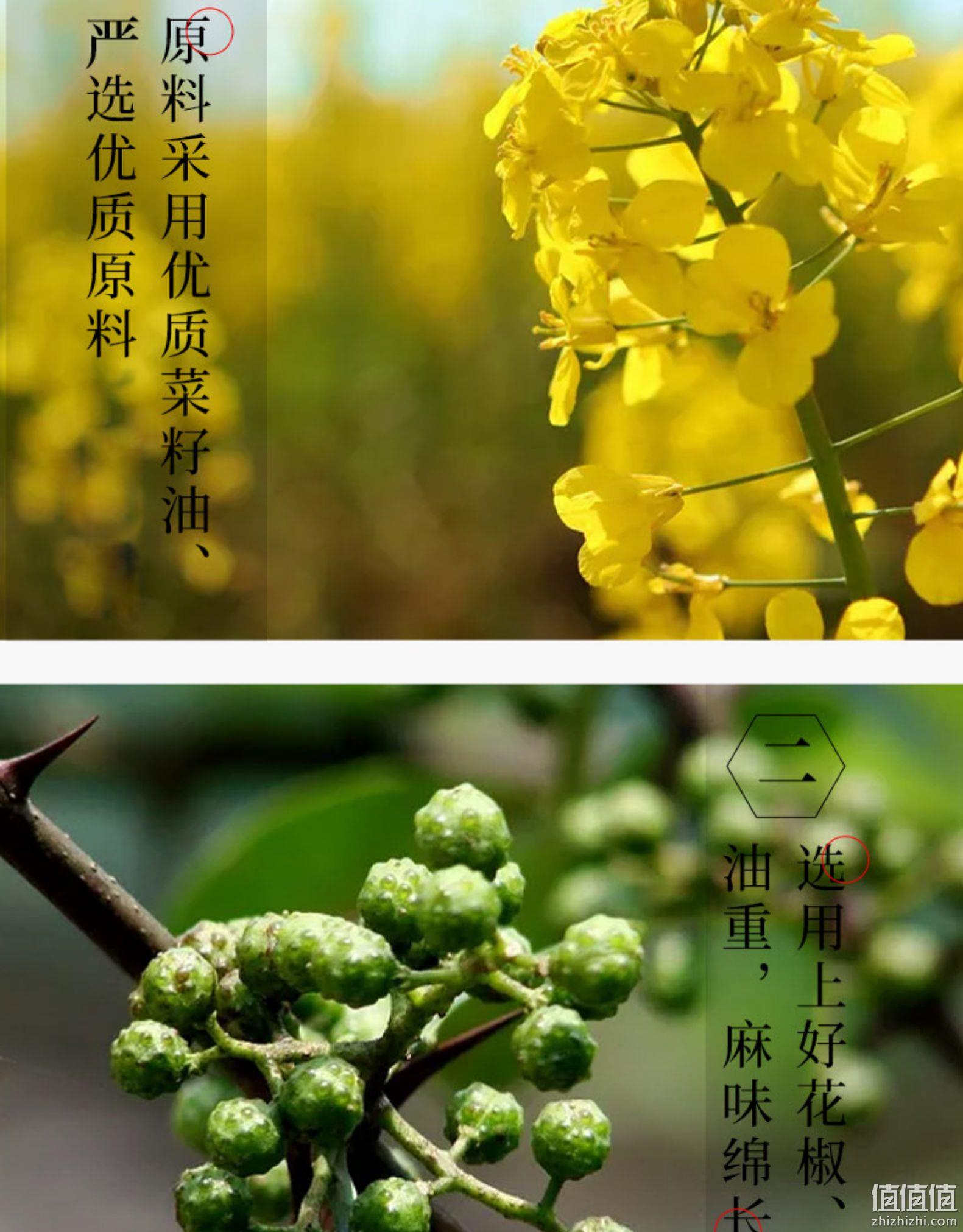 中华老字号，四川特产：125mlx3瓶 渝冬来 金啊子 花椒油 券后16.8元包邮，折合5.6元/瓶 值值值-买手聚集的地方