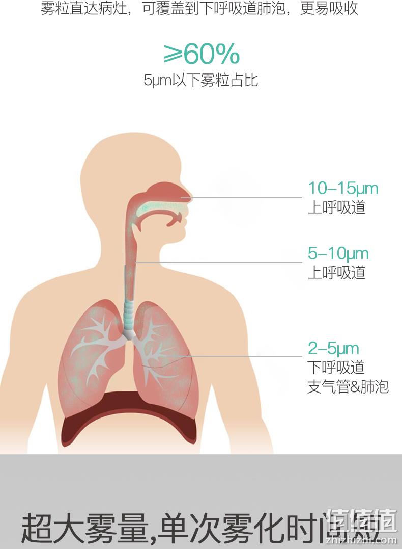 直降20元，医院同款，微米级雾化，速率可调：振海康 空气压缩雾化器 券后49元包邮（之前推荐69元） 值值值-买手聚集的地方