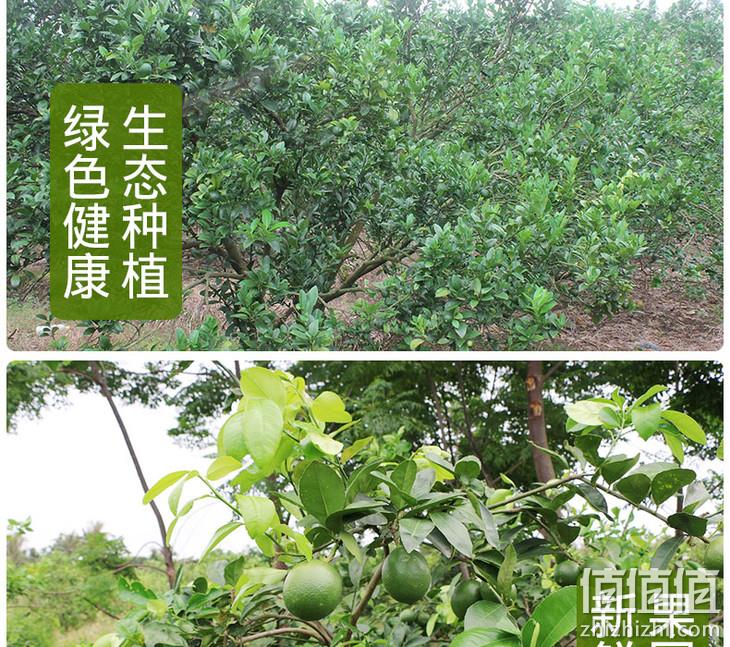 门店直接配送，2斤 百果园 A级海南青柠檬 单果55-65g 13.9元包邮 值值值-买手聚集的地方