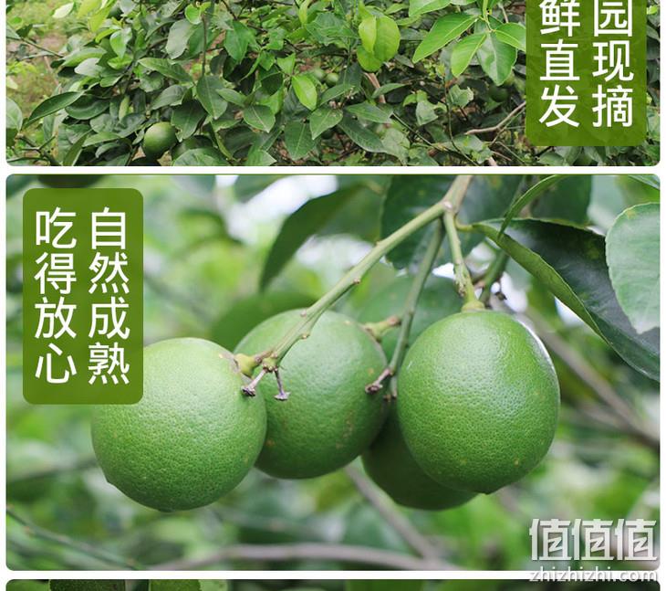 门店直接配送，2斤 百果园 A级海南青柠檬 单果55-65g 13.9元包邮 值值值-买手聚集的地方