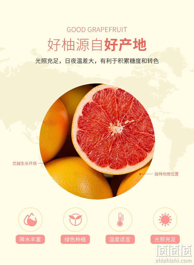 史低！南非进口：4粒 Dole都乐 红心西柚 单果约280g 24.9元包邮 值值值-买手聚集的地方