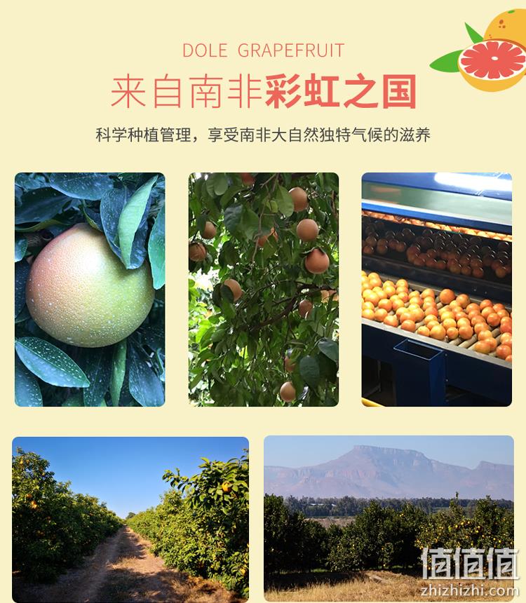 史低！南非进口：4粒 Dole都乐 红心西柚 单果约280g 24.9元包邮 值值值-买手聚集的地方