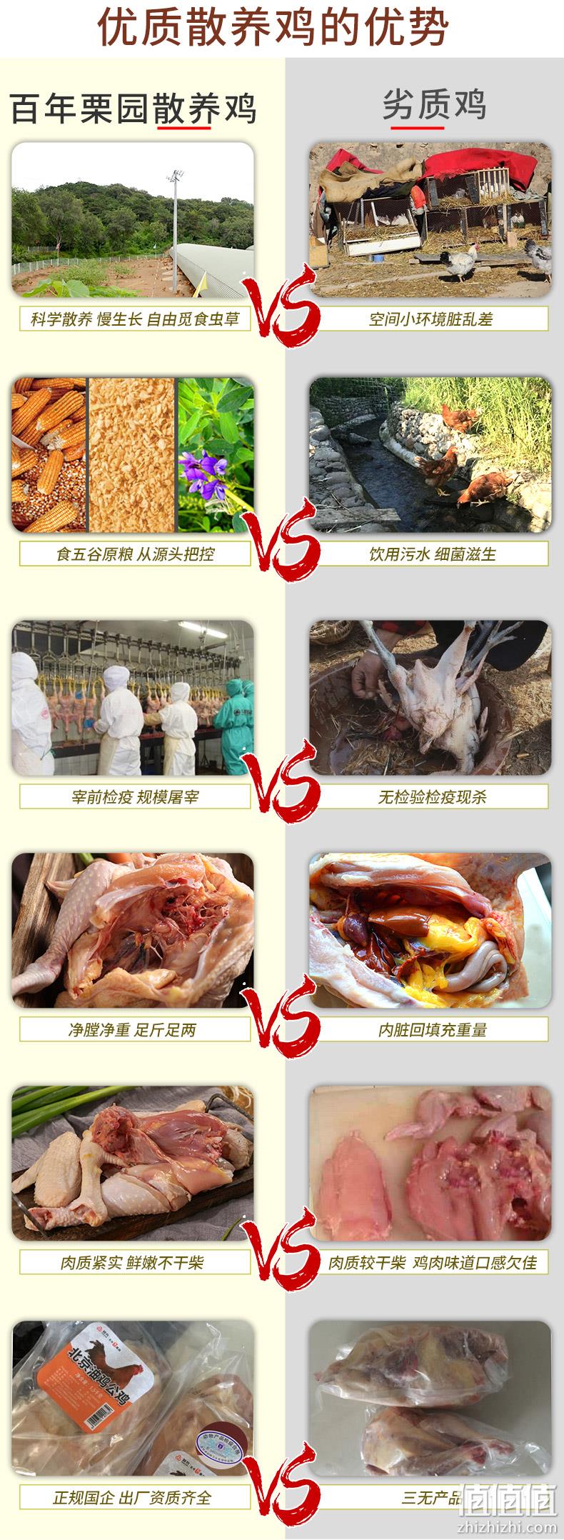 国企首农集团旗下，散养可溯源：800gx3只 百年栗园 散养柴鸡 89元包邮 值值值-买手聚集的地方