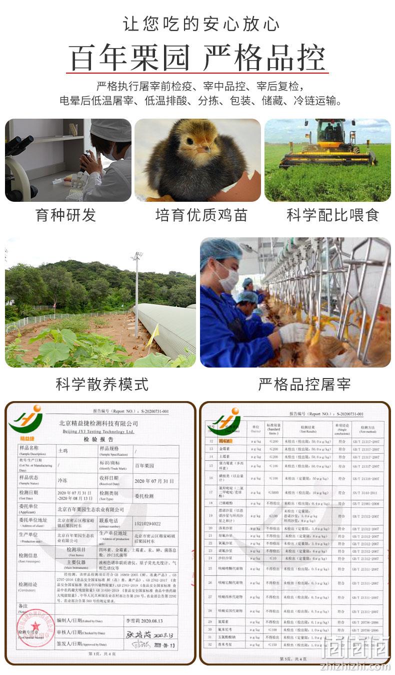 国企首农集团旗下，散养可溯源：800gx3只 百年栗园 散养柴鸡 89元包邮 值值值-买手聚集的地方