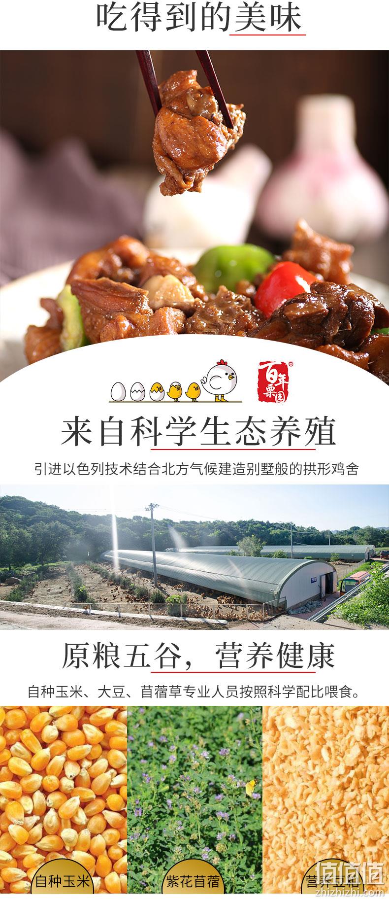 国企首农集团旗下，散养可溯源：800gx3只 百年栗园 散养柴鸡 89元包邮 值值值-买手聚集的地方