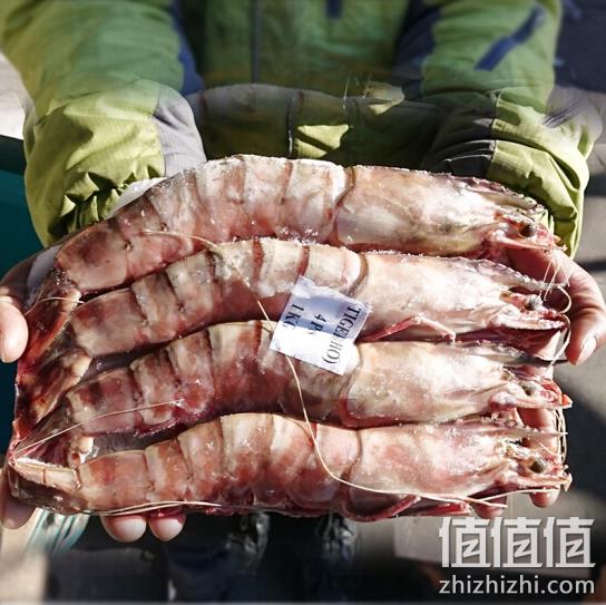 长18cm！mr seafood 京鲜生 冷冻大虎虾 1kg （14-16个）x2件 plus会员185元包邮（折合92.5元/件） 值值值-买手聚集的地方