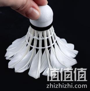 迪科斯 耐打羽毛球 12只装 12.9元包邮 值值值-买手聚集的地方