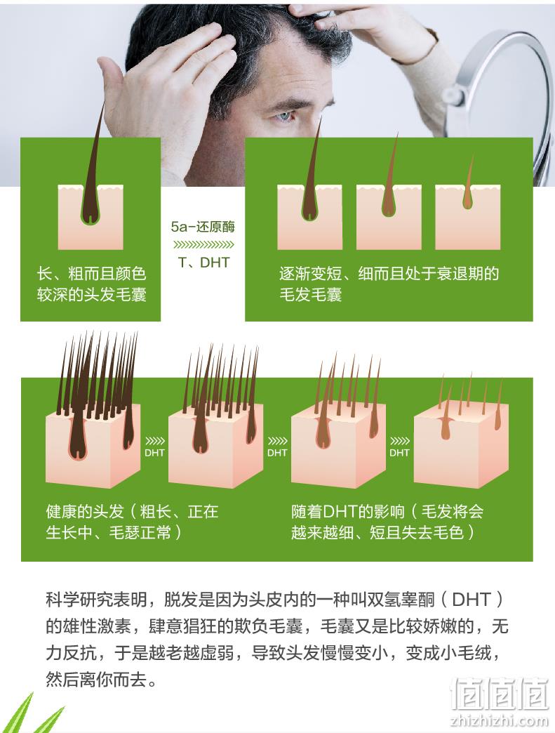 美国进口，生发防脱，保护前列腺：120粒 朴诺 锯棕榈精华胶囊 双重优惠51.75元包邮 值值值-买手聚集的地方