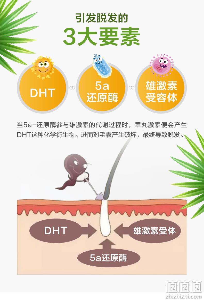 美国进口，生发防脱，保护前列腺：120粒 朴诺 锯棕榈精华胶囊 双重优惠51.75元包邮 值值值-买手聚集的地方