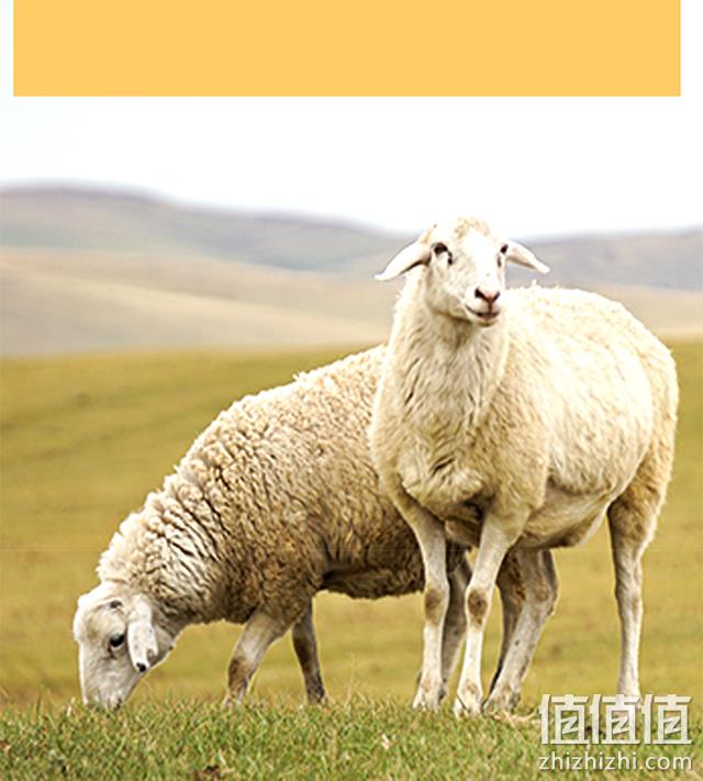 奥运供应商，配料只有水和盐：200gx4件 恒都 清水羊肉 拍4件99.8元包邮，赠蘸料 值值值-买手聚集的地方