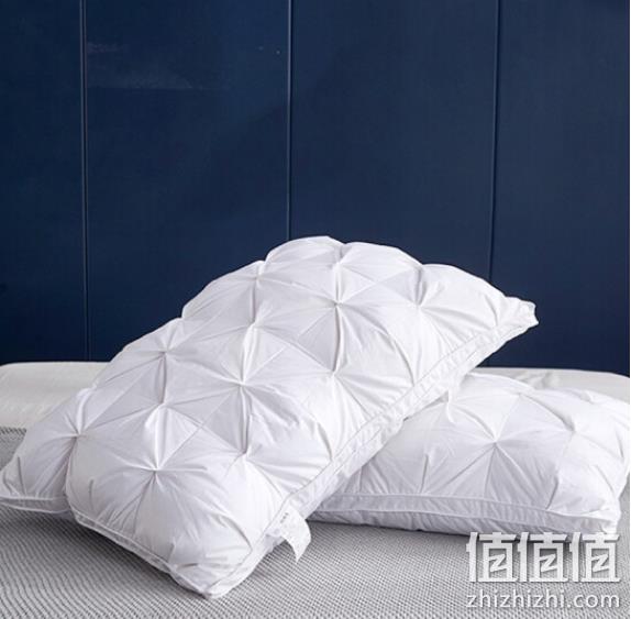 95%白鹅绒，AIDLI 100支波兰进口枕芯 48x74cm 199.1元包邮 值值值-买手聚集的地方