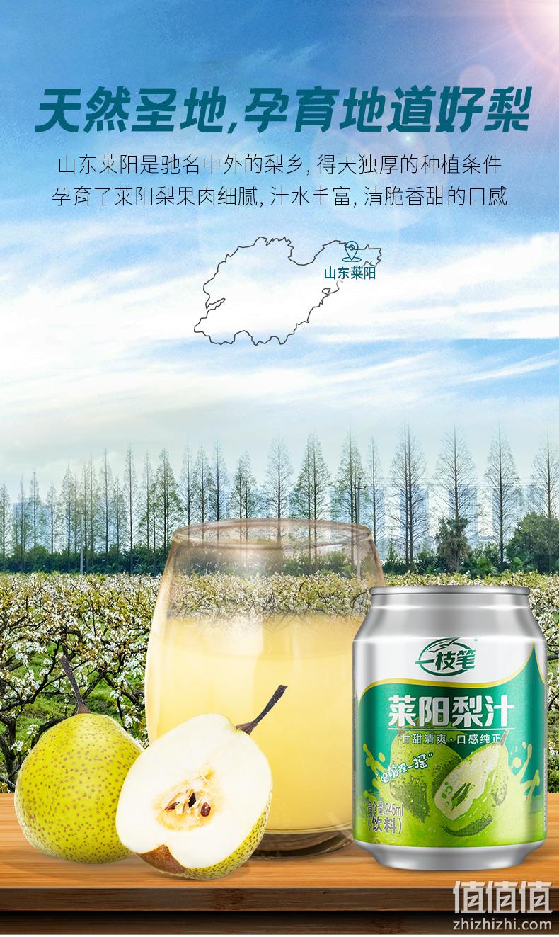 值哭！CCTV星光大道指定饮品，清咽润喉：310mlx6罐 一枝笔 莱阳梨汁 11.8元包邮（之前245mlx6罐装23元） 值值值-买手聚集的地方