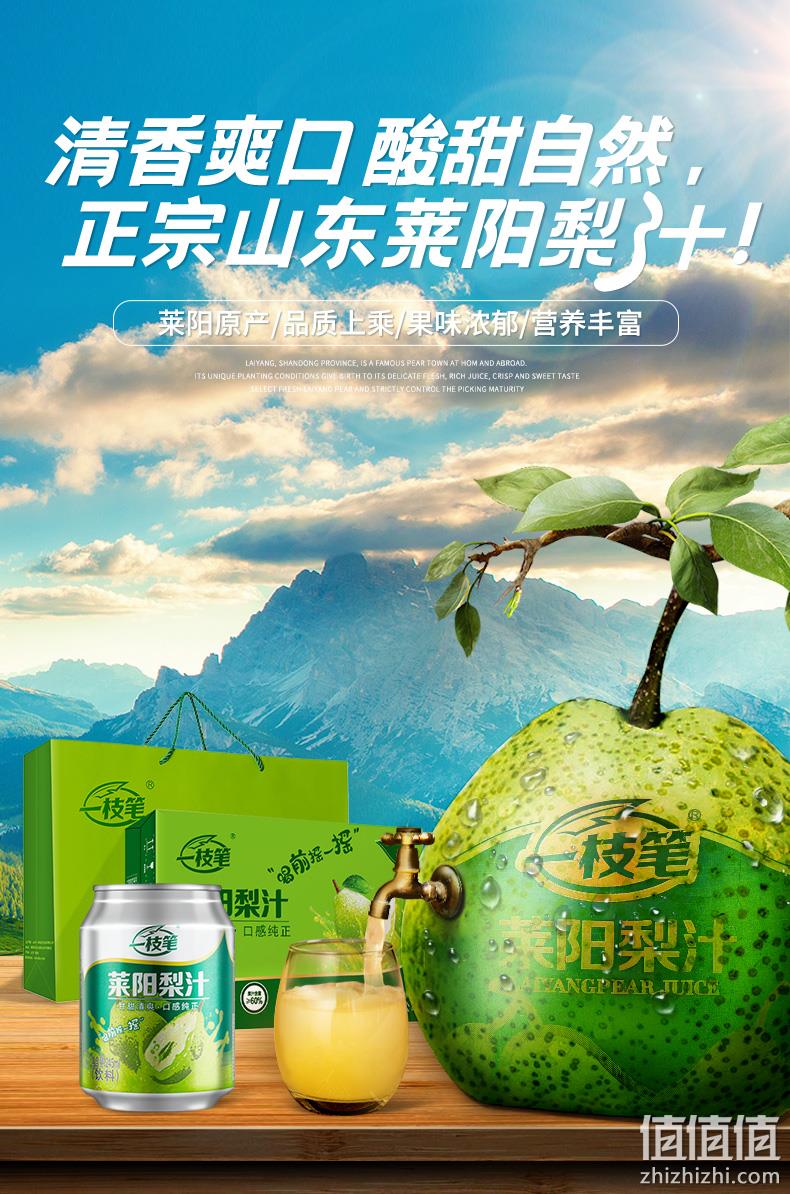 值哭！CCTV星光大道指定饮品，清咽润喉：310mlx6罐 一枝笔 莱阳梨汁 11.8元包邮（之前245mlx6罐装23元） 值值值-买手聚集的地方
