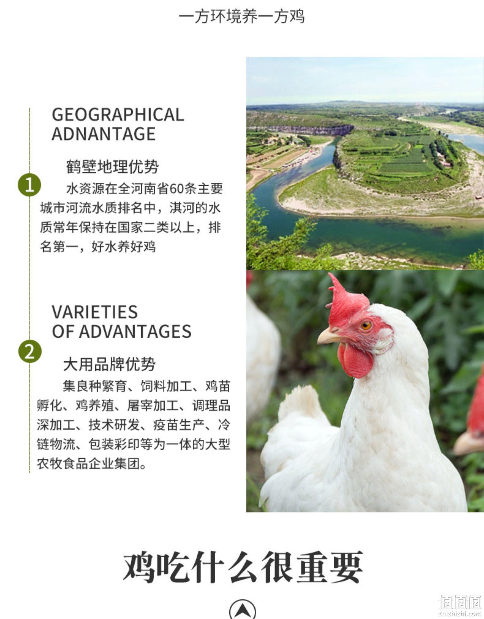 国家重点企业 大用 农家散养走地鸡 730gx4只 券后79.9元包邮 值值值-买手聚集的地方