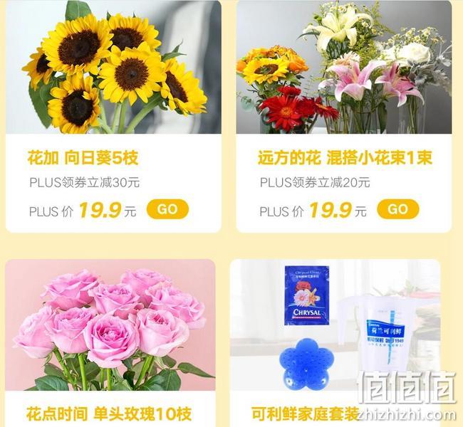 鲜花绿植不到10元入手，京东 PLUS会员鲜花特权 每月尊享1次定制鲜花9.9包邮，多张鲜花绿植优惠券 值值值-买手聚集的地方