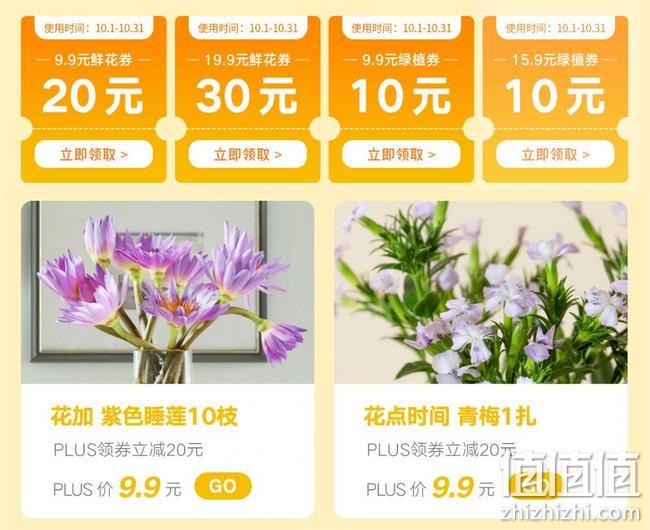鲜花绿植不到10元入手，京东 PLUS会员鲜花特权 每月尊享1次定制鲜花9.9包邮，多张鲜花绿植优惠券 值值值-买手聚集的地方