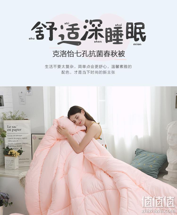 排湿透气不闷汗，四季可用：220x240cm 水星家纺 克洛怡抗菌七孔纤维冬被 99.1元包邮 值值值-买手聚集的地方