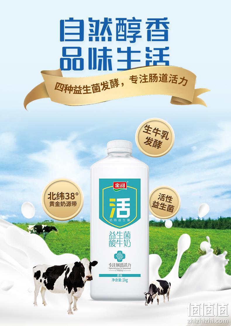 生牛乳发酵 金河 活菌酸奶 1Kg 14.8元包邮 值值值-买手聚集的地方