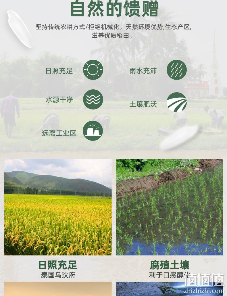 新低！泰国进口原粮，一年一季：10斤 泰王世家 茉莉香米 31.9元包邮（之前推荐39.9元） 值值值-买手聚集的地方