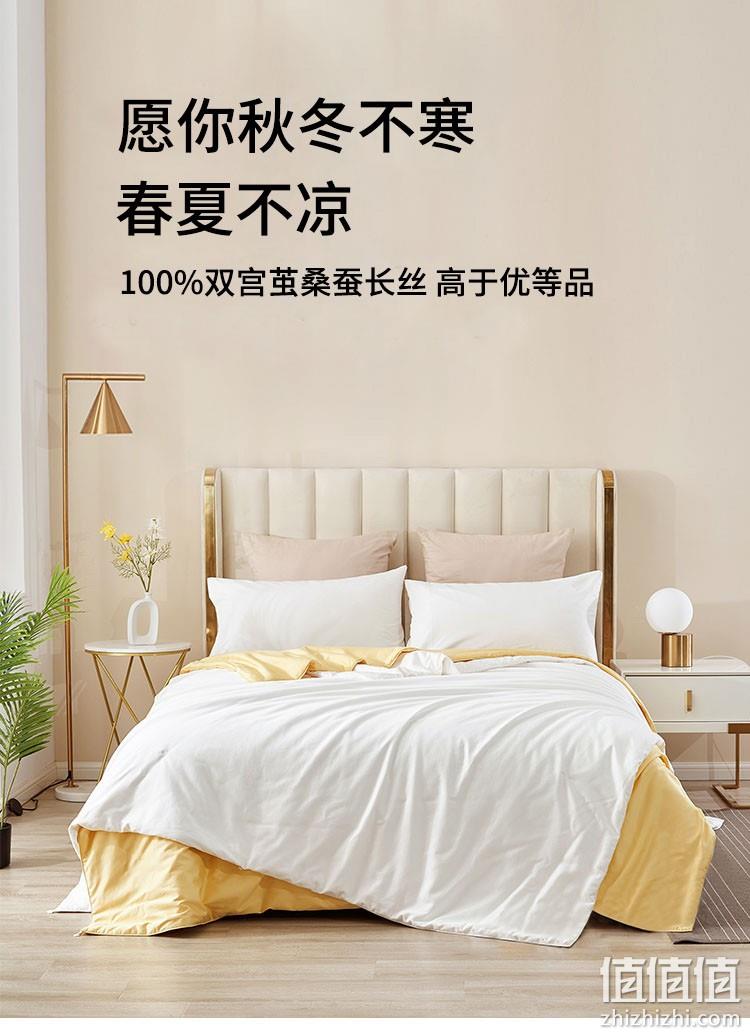 PLUS会员：AIDLI 80支贡缎双宫茧桑蚕丝被芯 重约4.3斤 200x230cm 849元包邮 值值值-买手聚集的地方