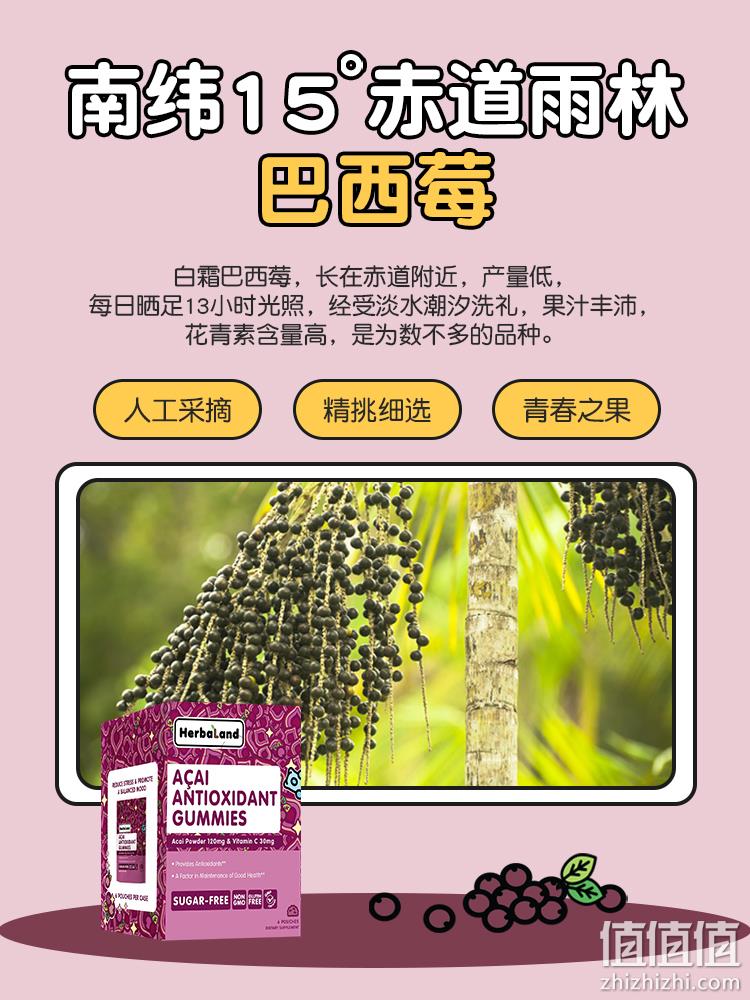 加拿大原装进口，Herbaland 巴西莓花青素软糖 90粒  新低49元包邮包税 值值值-买手聚集的地方