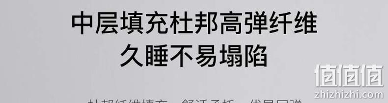 新低！升级可水洗，3层杜邦纤维支撑：网易严选 舒柔丝羽绒枕 39.9元起包邮 值值值-买手聚集的地方