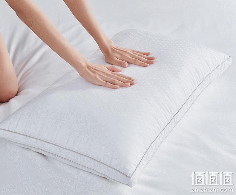 新低！升级可水洗，3层杜邦纤维支撑：网易严选 舒柔丝羽绒枕 39.9元起包邮 值值值-买手聚集的地方