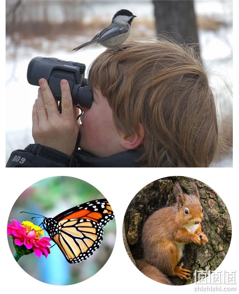 10日20点,0.5米清晰对焦:6.5×21 PENTAX宾得 Papilio二代 双筒虫虫镜望远镜 599元包邮 值值值-买手聚集的地方