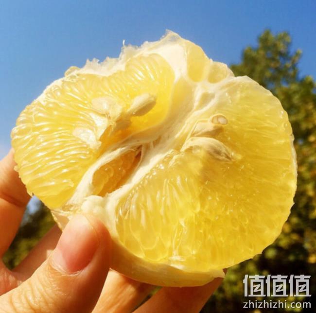 唐鲜生 黄金葡萄柚 5斤彩箱装（3-5个） 18.6元包邮 值值值-买手聚集的地方