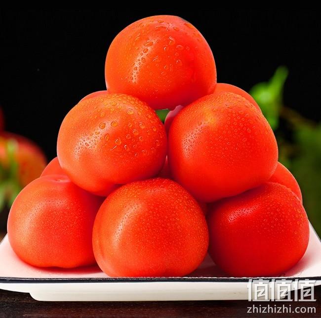 绿行者 红又红红番茄 5斤装 29.9元包邮 值值值-买手聚集的地方