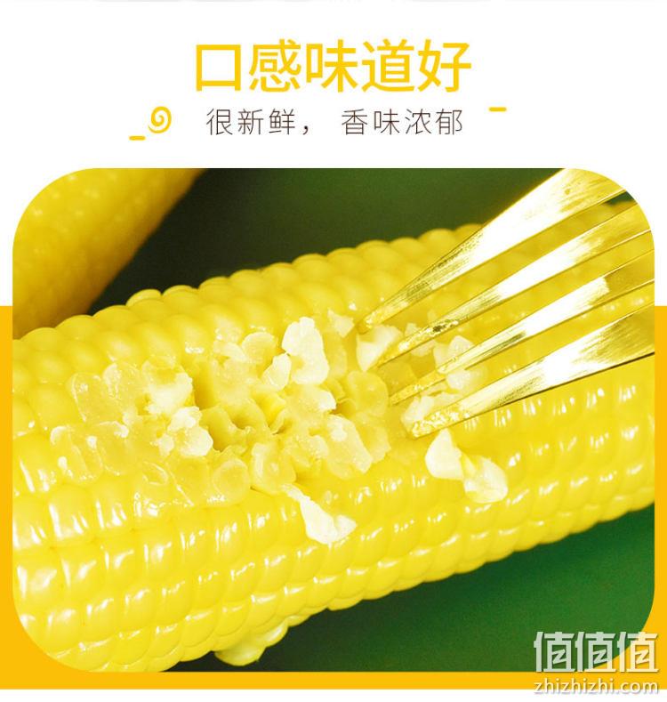 非转基因，自然甜：220gx10棒 玉米神 东北糯玉米 新鲜真空包装 券后29.8元包邮 值值值-买手聚集的地方