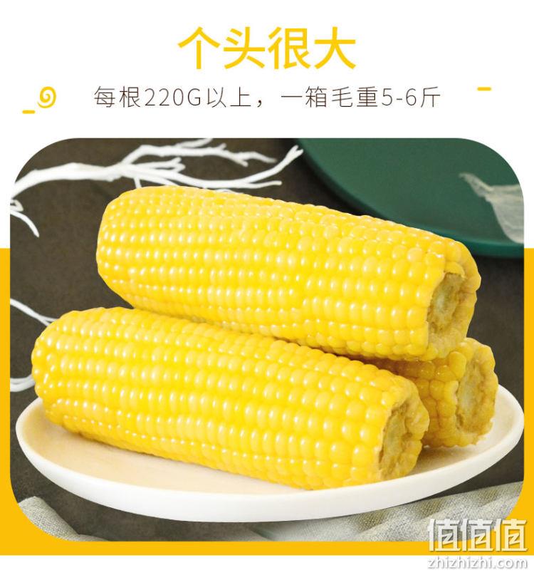 非转基因，自然甜：220gx10棒 玉米神 东北糯玉米 新鲜真空包装 券后29.8元包邮 值值值-买手聚集的地方