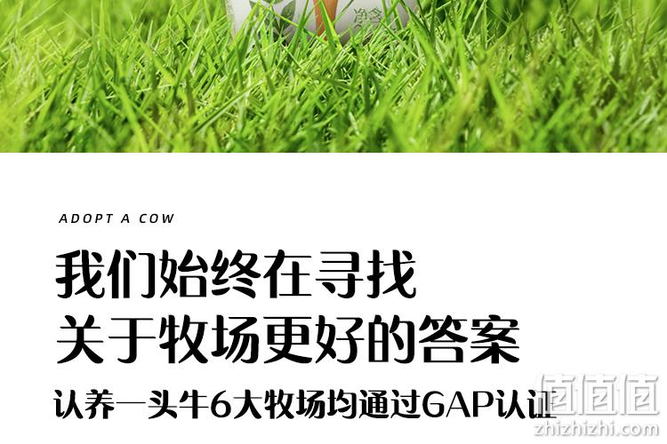 法国进口益生菌，冰淇淋口感：认养一头牛 常温原味儿童酸奶 79.91包邮 值值值-买手聚集的地方