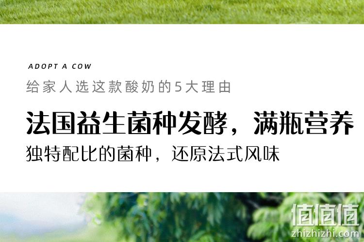 法国进口益生菌，冰淇淋口感：认养一头牛 常温原味儿童酸奶 79.91包邮 值值值-买手聚集的地方