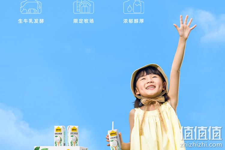 法国进口益生菌，冰淇淋口感：认养一头牛 常温原味儿童酸奶 79.91包邮 值值值-买手聚集的地方