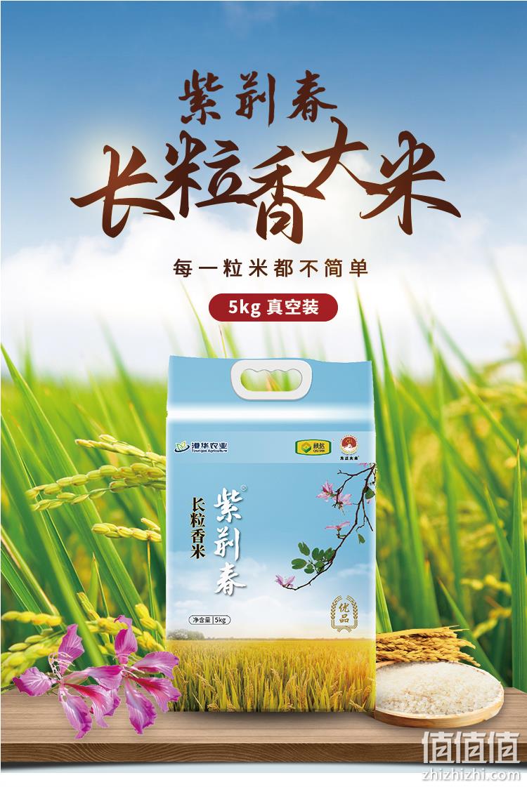 茶品牌活动策划_茶饮品牌策划_茶品牌策划