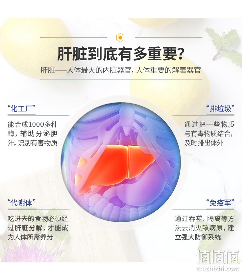 百年品牌，德国进口，护肝解酒：60片 Zirkulin哲库林 奶蓟草护肝片 59元包邮 值值值-买手聚集的地方