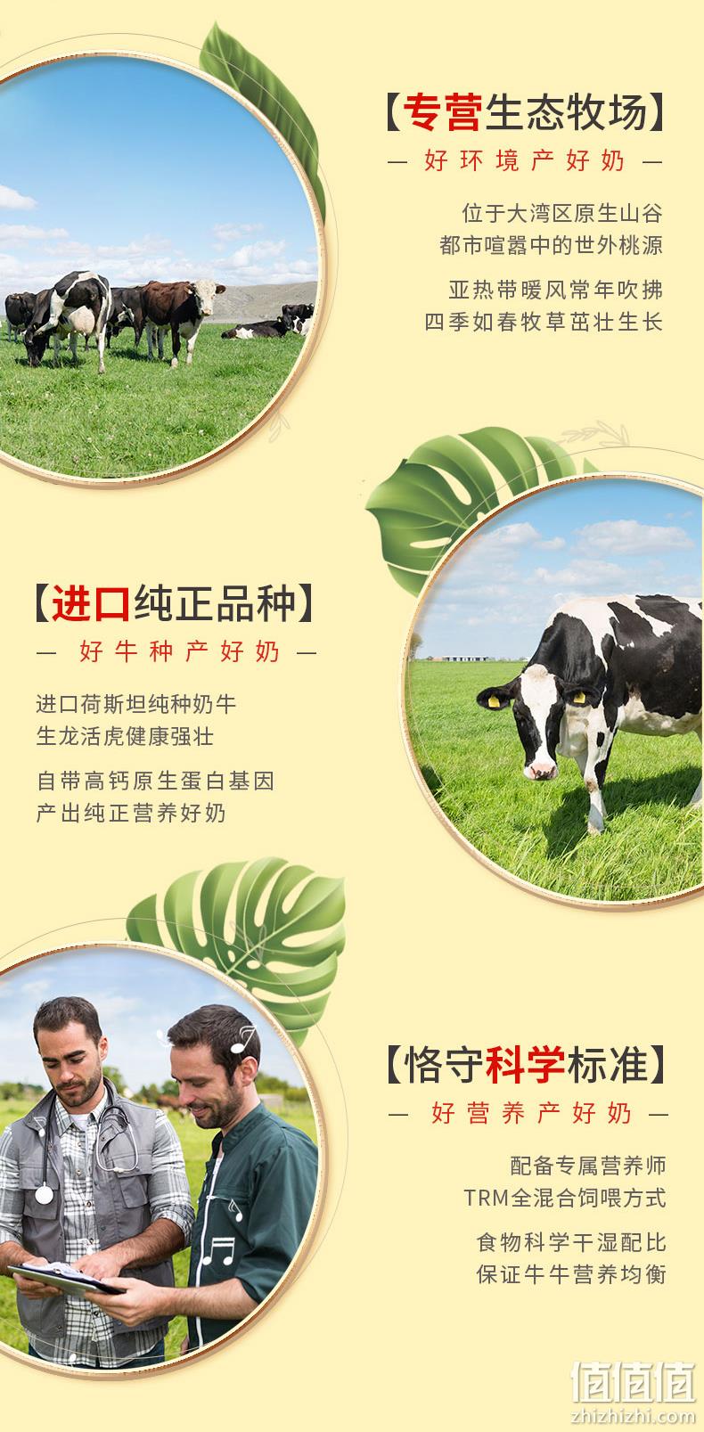 晨光 供港壹号 3.6g蛋白质 纯牛奶 200mlx12盒x2箱 券后78元包邮 值值值-买手聚集的地方