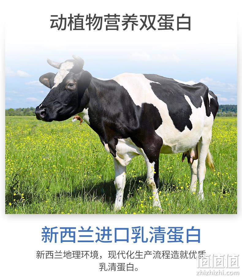 新西兰进口奶源，动植物双蛋白：400gx2罐 康恩贝 营养增肌乳清蛋白粉 69元包邮 值值值-买手聚集的地方