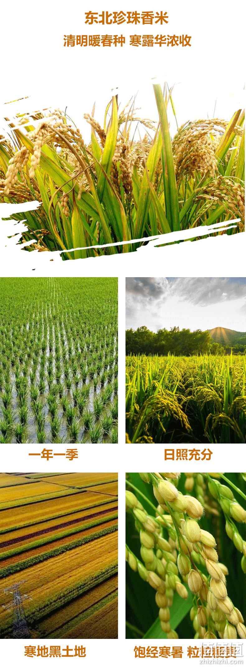 逸知鲜 东北正宗珍珠米 5斤装 券后12.9元包邮 值值值-买手聚集的地方